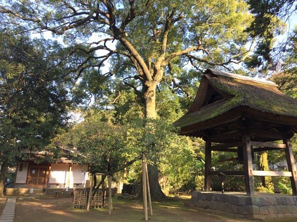 ますとみ旅館 箱根町 エクステリア 写真