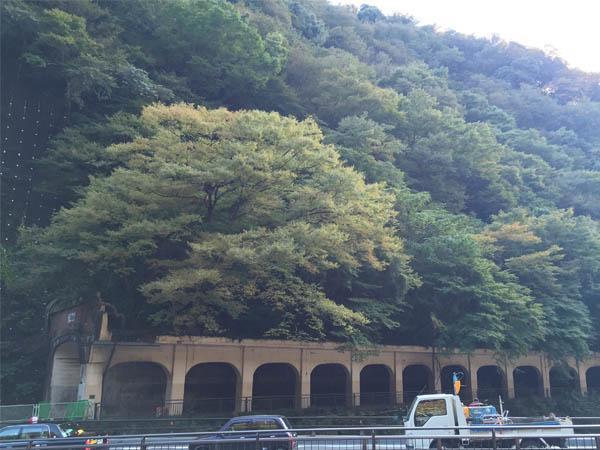ますとみ旅館 箱根町 エクステリア 写真